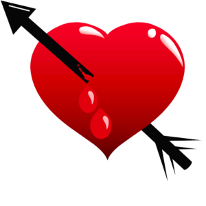 heart normal full 1024